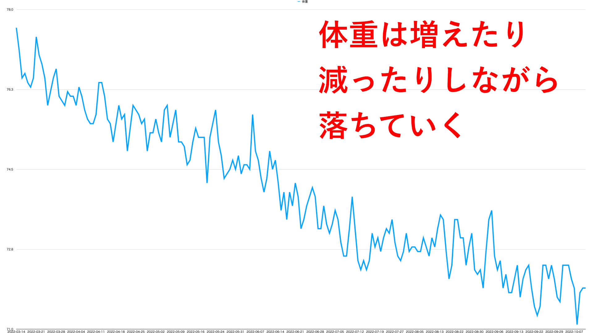 5人の実例有り ダイエットで体重が増えたり減ったりを繰り返す原因と対策